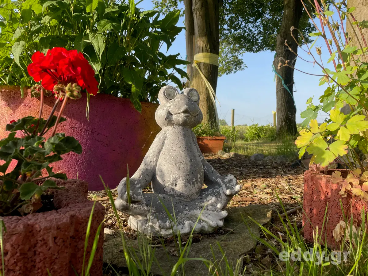 Von Erkälteten, der Gartenarbeit und dem guten Leben