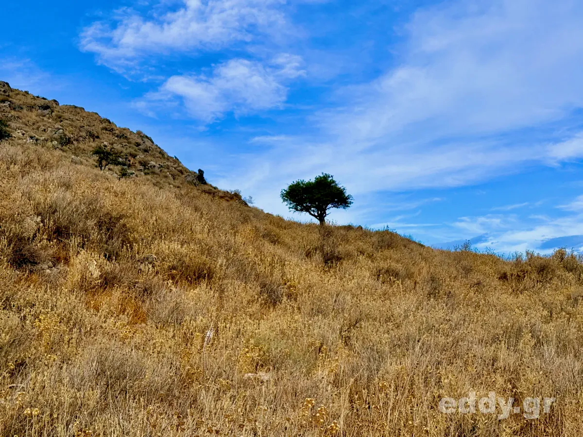 Der Löwe (OT: Itinéraire d’un enfant gâté), Frankreich 1988