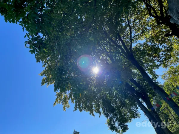 Schaltjahr für Yogis visualisiert mit HTML / CSS / JavaScript unter Ghost