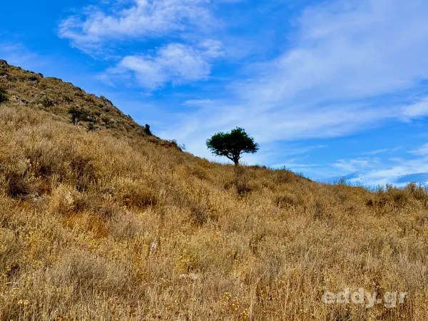 Der Löwe (OT: Itinéraire d’un enfant gâté), Frankreich 1988